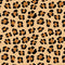 Leopard Spots Print Wii (Includes 1 Controller) Skin
