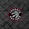 NBA Toronto Raptors Black Rust PS5 DualSense Edge Pro Controller Skin