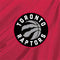 NBA Toronto Raptors Logo Studio Wireless 3 Skin