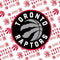 NBA Toronto Raptors Logo Blast Fire TV Cube Skin