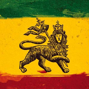 The Lion of Judah Rasta Flag Yoga 710 14in Skin