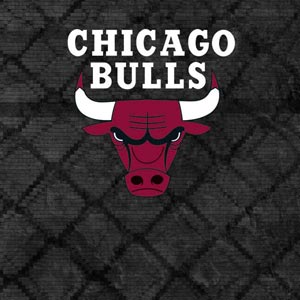 NBA Chicago Bulls Dark Rust Xbox Adaptive Controller Skin