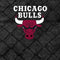 NBA Chicago Bulls Dark Rust 3DS (2011) Skin