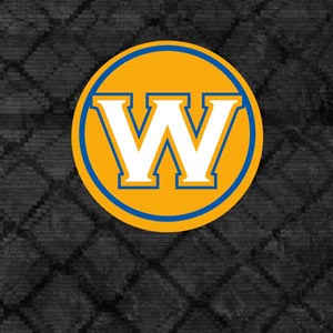 NBA Golden State Warriors Dark Rust PS4 Pro Bundle Skin