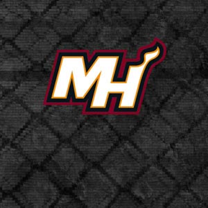 NBA Miami Heat Dark Rust Pixelbook Skin