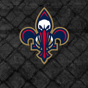 NBA New Orleans Pelicans Dark Rust iPhone Charger (5W USB) Skin