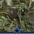 NFL Realtree Camo Dallas Cowboys PS5 Slim Digital Edition Bundle Skin