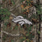 NFL Denver Broncos Realtree Xtra Green Camo Xbox 360 Slim (2010) Skin