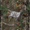 NFL Tampa Bay Buccaneers Realtree Xtra Green Camo Naida CI Q70 Kit Skin