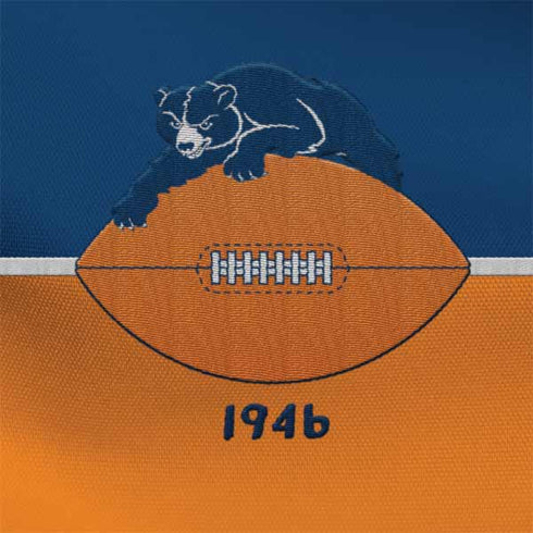 NFL Chicago Bears Vintage Google Home Skin