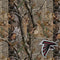NFL Atlanta Falcons Realtree AP Camo Xbox 360 Slim (2010) Skin