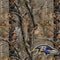 NFL Baltimore Ravens Realtree AP Camo Xbox 360 Slim (2010) Skin