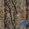 NFL Buffalo Bills Realtree AP Camo Galaxy S23 Ultra Skin
