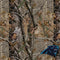 NFL Carolina Panthers Realtree AP Camo Surface Pro 7 Skin