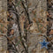 NFL Dallas Cowboys Realtree AP Camo Studio Wireless 3 Skin