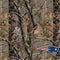 NFL New England Patriots Realtree AP Camo Beats Solo Pro Skin