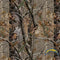 NFL Los Angeles Chargers Realtree AP Camo Apple AirPods 2 Skin