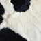 Cow Animal Print Xbox Adaptive Controller Skin