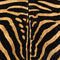 Zebra Animal Print Surface Pro 7 Skin
