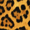 Leopard Animal Print Steam Deck Handheld Gaming Computer Skin