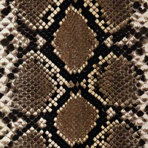 Serpent Animal Print Galaxy Z Flip4 5G Skin