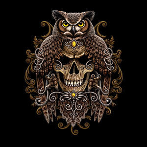 Skull and Owl by Sarah Richter Wii (Includes 1 Controller) Skin