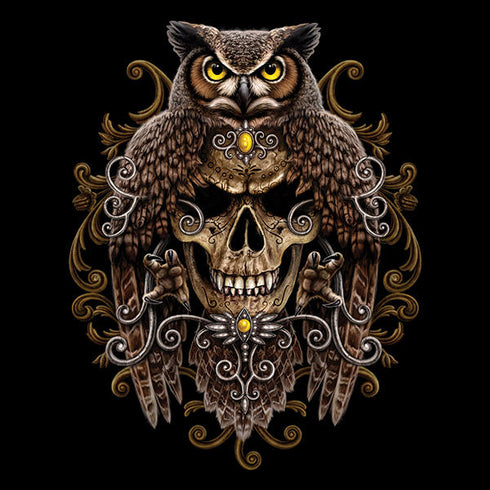 Skull and Owl by Sarah Richter iPhone 14 Plus Folio Case