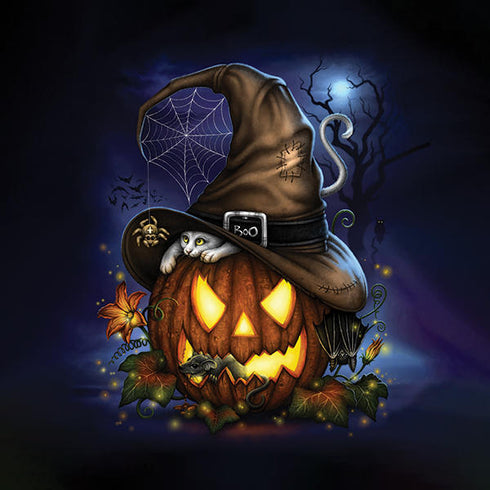 Halloween Cat and Jack O Lantern Pumpkin by Sarah Richter Wii (Includes 1 Controller) Skin