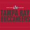 NFL Super Bowl LV Champions Tampa Bay Buccaneers Wii (Includes 1 Controller) Skin