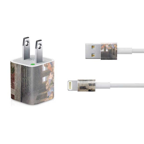 Leonardo da Vinci The Last Supper iPhone Charger (5W USB) Skin