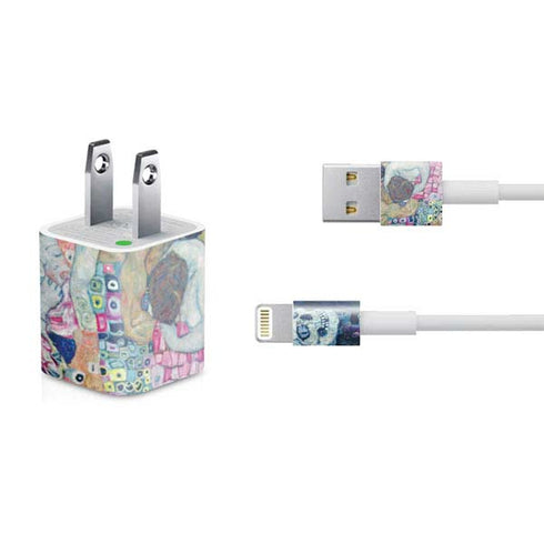Gustav Klimt Death and Life iPhone Charger (5W USB) Skin
