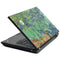 Vincent Van Gogh Irises Lenovo T420 Skin