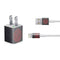 Red Dragon iPhone Charger (5W USB) Skin