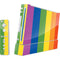 Vertical Rainbow Flag Wii (Includes 1 Controller) Skin