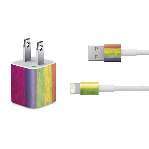 Distressed Rainbow Flag iPhone Charger (5W USB) Skin