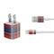 Red and Blue Plaid iPhone Charger (5W USB) Skin