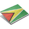 Guyana Flag Distressed Surface Book Skin