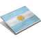 Argentina Flag Distressed Surface Book Skin