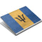 Barbados Flag Distressed Surface Book Skin
