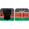 Kenya Flag Distressed Nintendo 2DS Skin