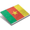 Cameroon Flag Distressed Surface Book Skin