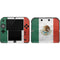 Mexico Flag Distressed Nintendo 2DS Skin