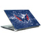 NHL Washington Capitals Frozen Portege Z30t/Z30t-A Skin
