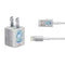 NBA Minnesota Timberwolves Hardwood Classics iPhone Charger (5W USB) Skin