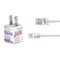 NBA LA Lakers Historic Blast iPhone Charger (5W USB) Skin
