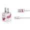 NBA Miami Heat Historic Blast iPhone Charger (5W USB) Skin