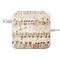 Antique Notes 85W Power Adapter (15 and 17 inch MacBook Pro Charger) Skin