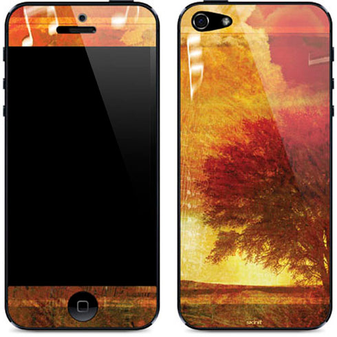 Falling Notes iPhone 5/5s/5SE Skin
