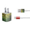 Rasta Color Keys iPhone Charger (5W USB) Skin