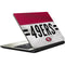 NFL San Francisco 49ers White Striped Satellite L50-B / S50-B Skin